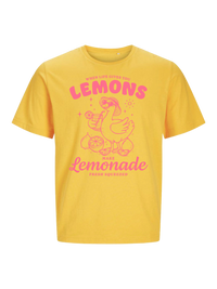 #5 "Lemonade Goose"