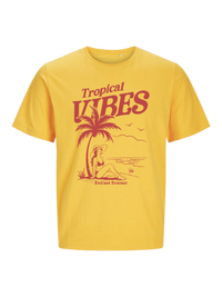 #3 "Summer Vibes"