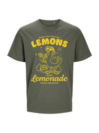 #5 "Lemonade Goose"