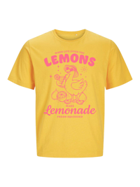 #5 "Lemonade Goose"