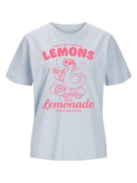 #5 "Lemonade Goose"