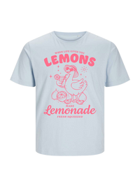 #5 "Lemonade Goose"