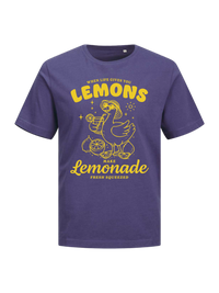 #5 "Lemonade Goose"