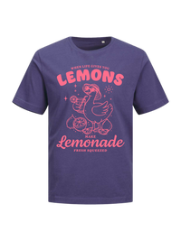 #5 "Lemonade Goose"