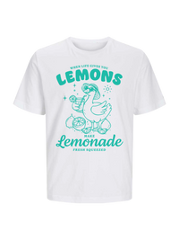 #5 "Lemonade Goose"