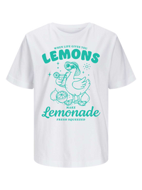 #5 "Lemonade Goose"