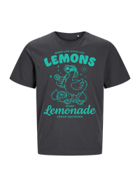 #5 "Lemonade Goose"