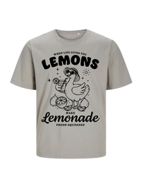 #5 "Lemonade Goose"