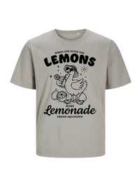 #5 "Lemonade Goose"
