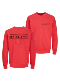 Bio Sweatshirt "Periodensystem"