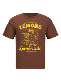 #5 "Lemonade Goose"