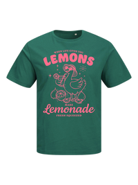 #5 "Lemonade Goose"
