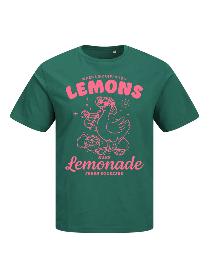 #5 "Lemonade Goose"