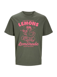 #5 "Lemonade Goose"